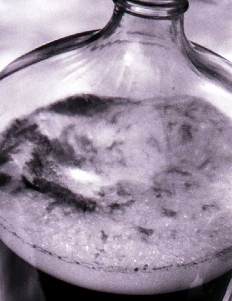 Fichier:1 9 3 ConductingFermentation3.jpg