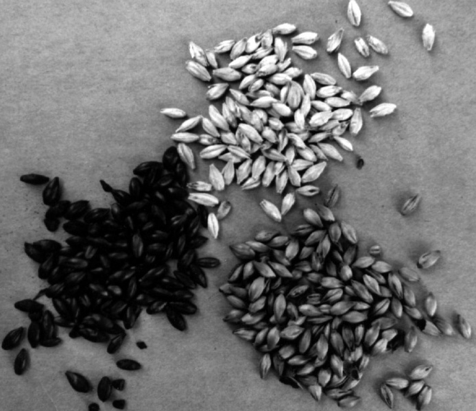 Fichier:2 1 2 whatismalt2.jpg